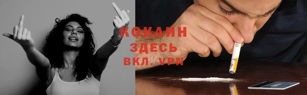 ПСИЛОЦИБИНОВЫЕ ГРИБЫ Абдулино