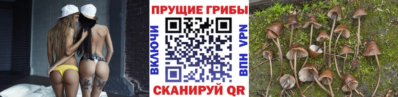 Псилоцибиновые грибы ЛСД  сколько стоит  Спас-Клепики 